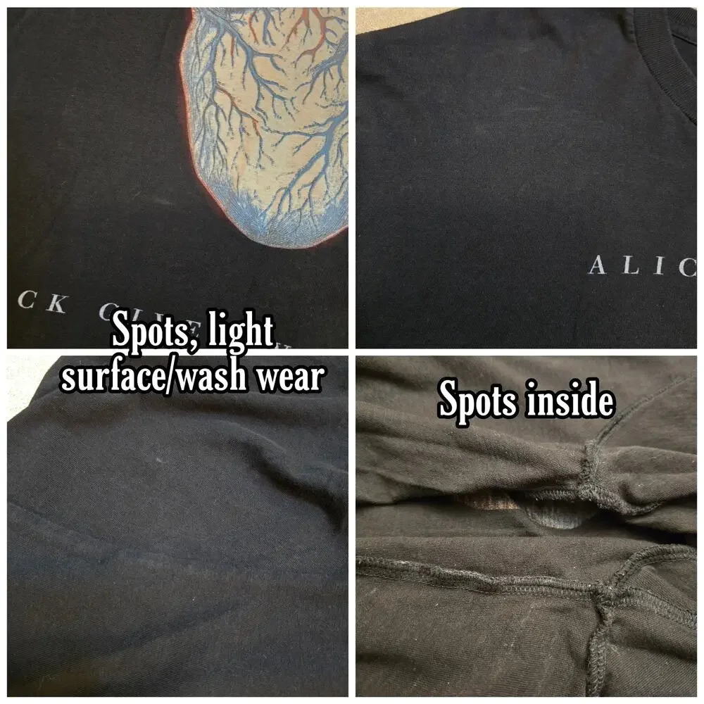 AiC Tshirt  XL Black Graphic Print Cotton Alice Chains Black Gives Way Blue 2010 - Picture 5 of 10